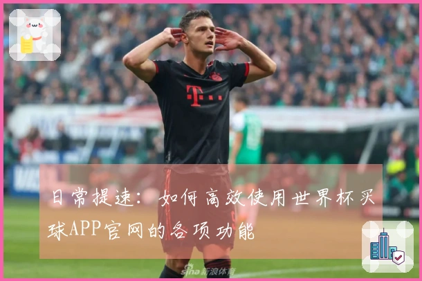 日常提速：如何高效使用世界杯买球APP官网的各项功能