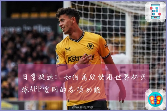 日常提速：如何高效使用世界杯买球APP官网的各项功能
