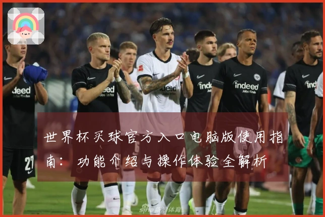 世界杯买球官方入口电脑版使用指南：功能介绍与操作体验全解析