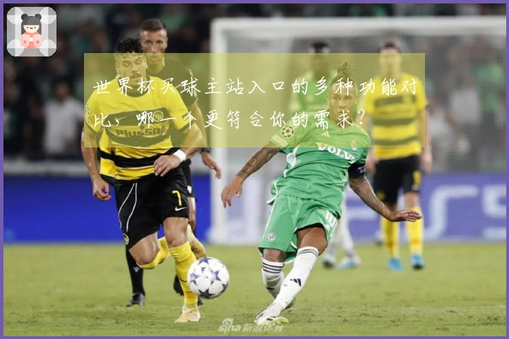 世界杯买球主站入口的多种功能对比，哪一个更符合你的需求？