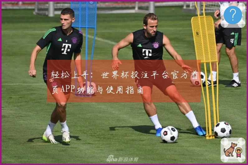 轻松上手：世界杯投注平台官方首页APP功能与使用指南
