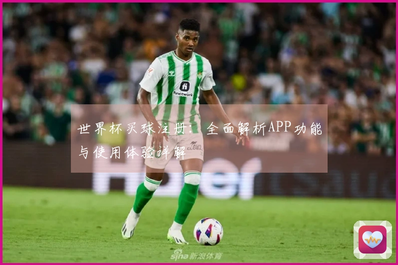 世界杯买球注册：全面解析APP功能与使用体验详解