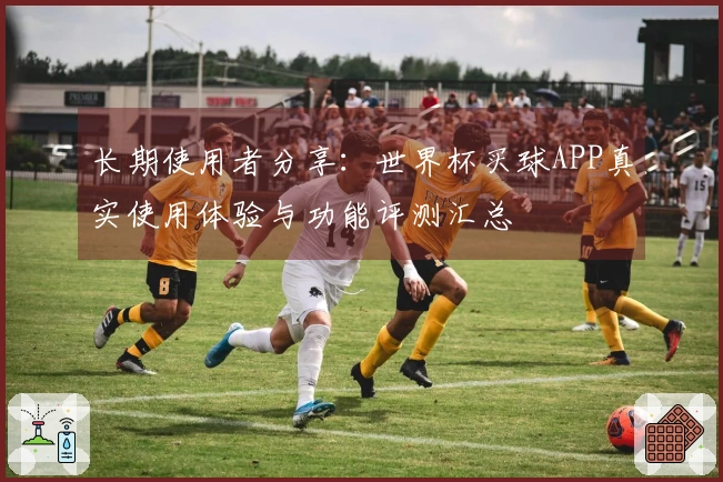 长期使用者分享：世界杯买球APP真实使用体验与功能评测汇总
