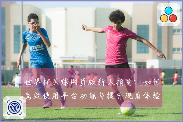 世界杯买球网页版新人指南：如何高效使用平台功能与提升观看体验