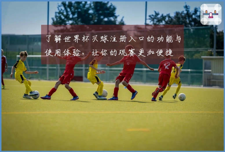 了解世界杯买球注册入口的功能与使用体验,让你的观赛更加便捷