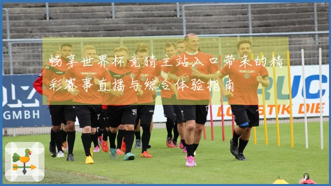 畅享世界杯竞猜主站入口带来的精彩赛事直播与综合体验指南
